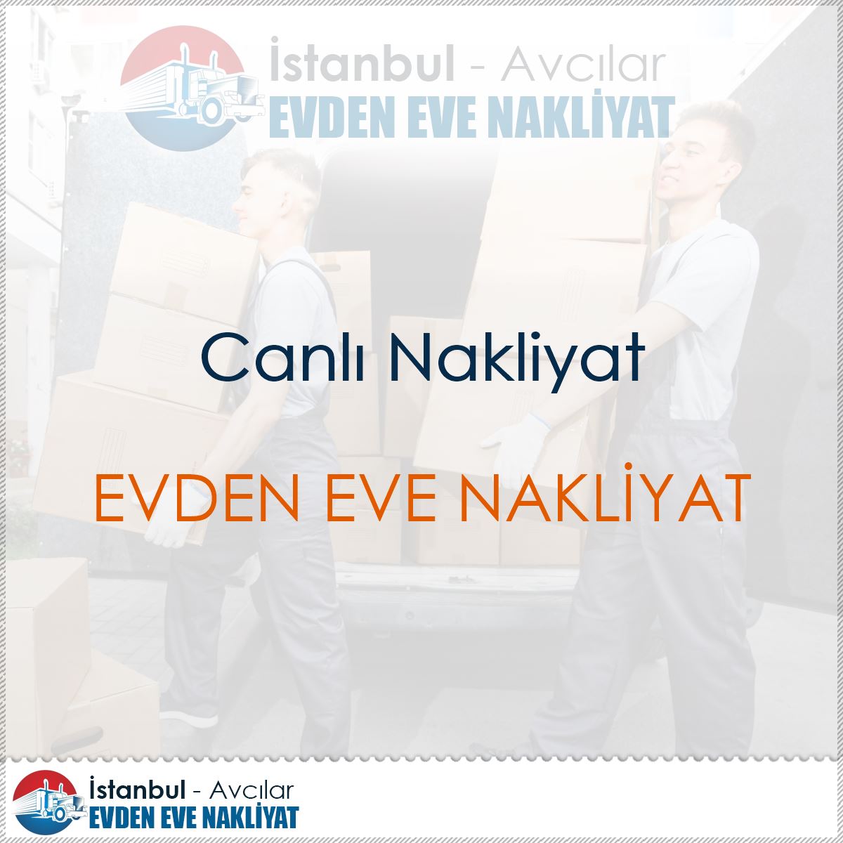 Canlı Nakliyat logo