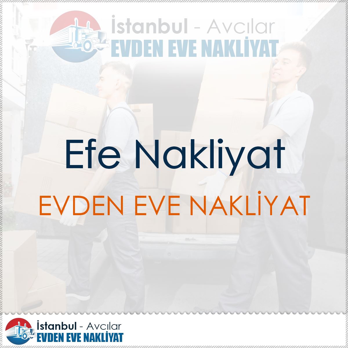 Efe Nakliyat : Kapak Görseli
